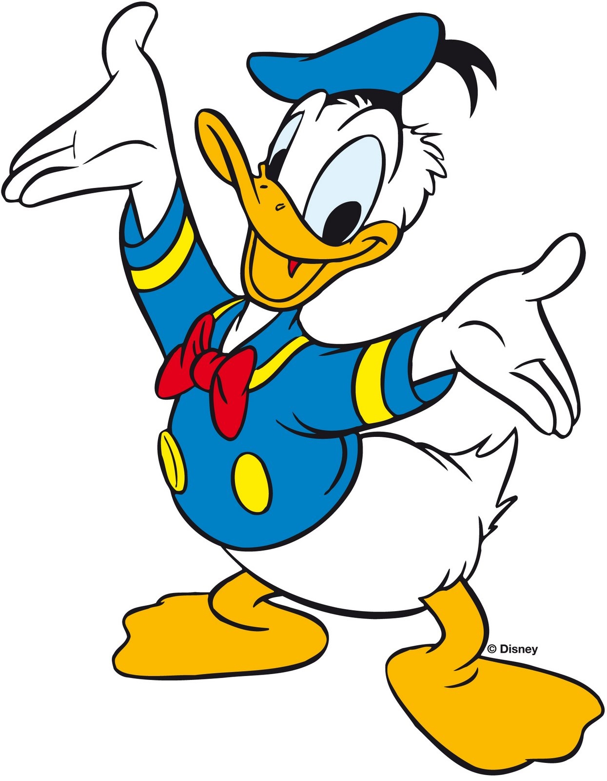Donald Duck Walt Disney Hd Free Wall Paper