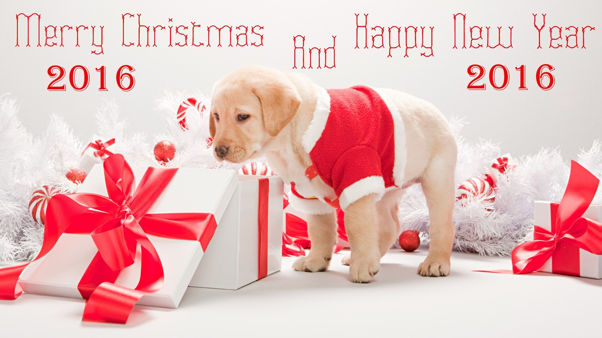 Merry Christmas And Happy New Year 2015 Wallpapers