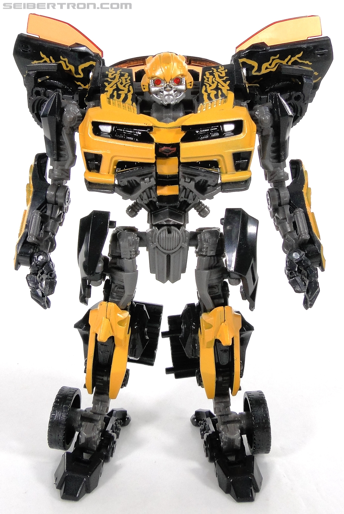 Bumble Bee Toys 31