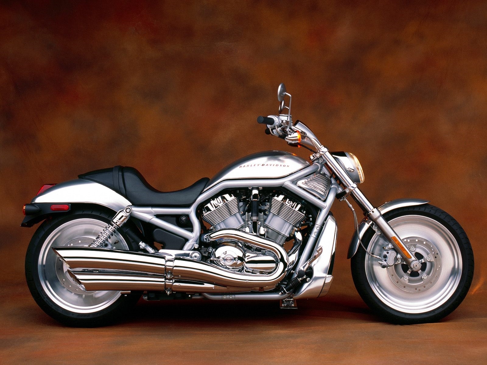 harley davidson v rod
