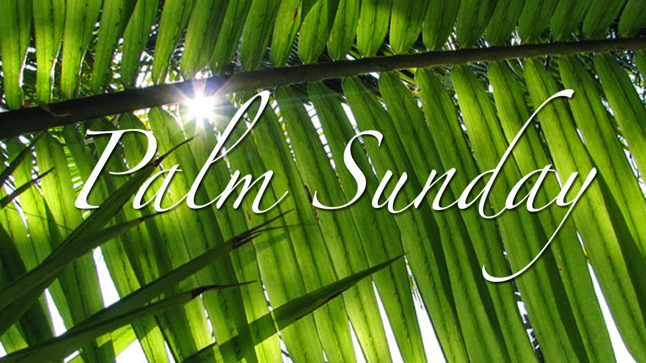 Palm Sunday Wallpapers HD WALLPAPERS