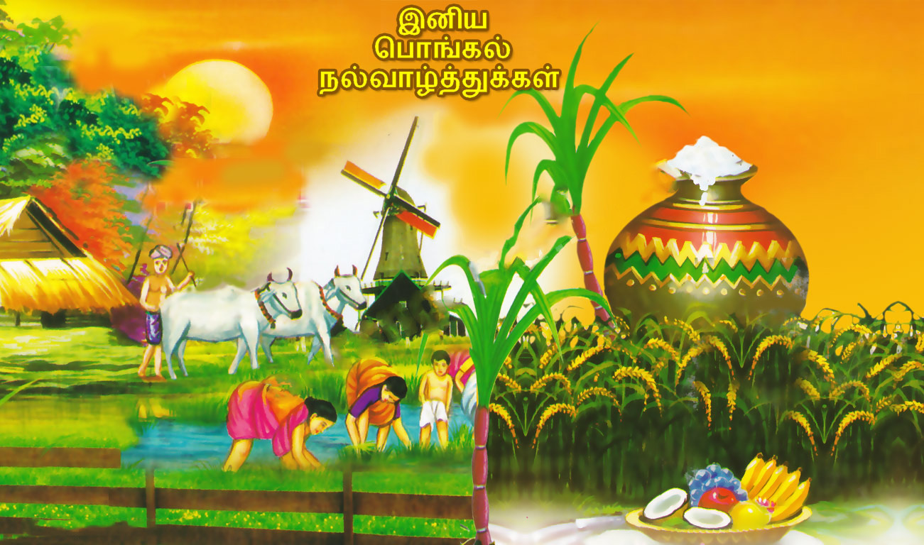 Featured image of post Pongal Drawing Photos Download It is suitable for many different devices