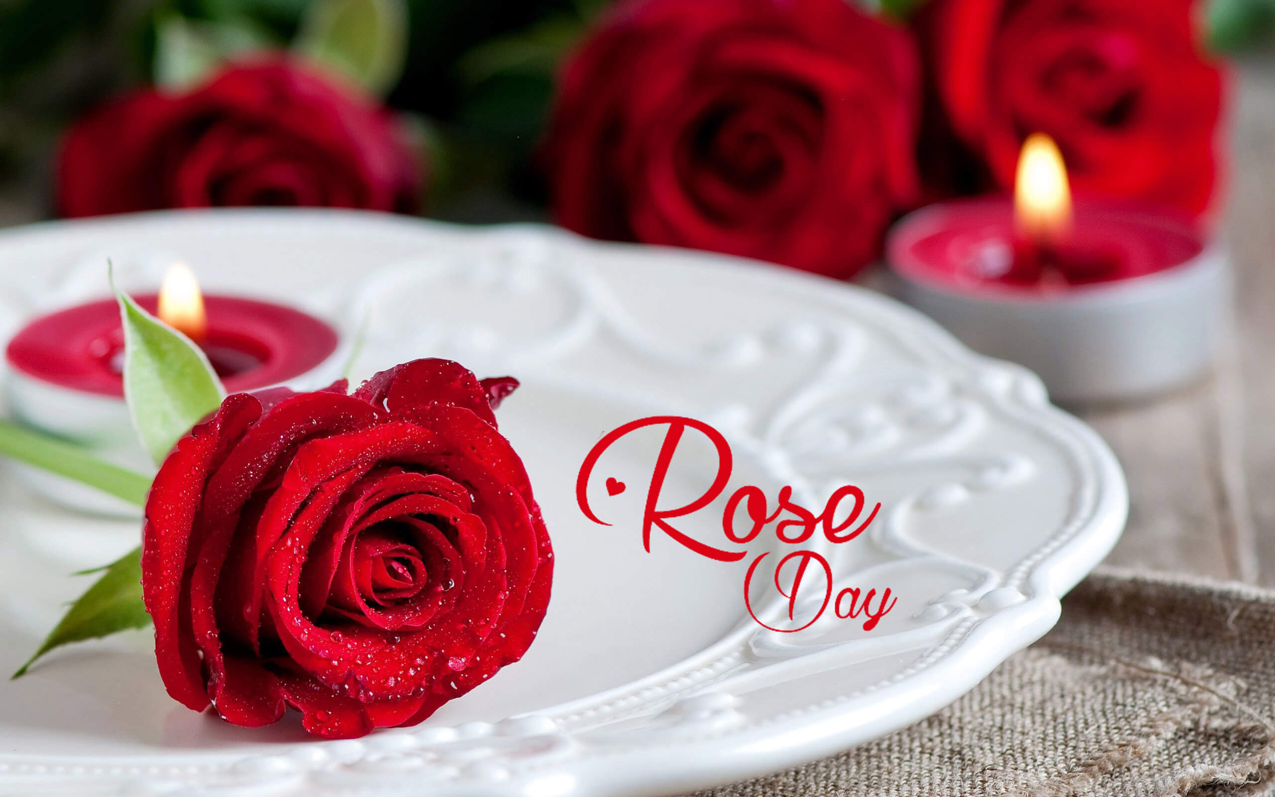 Rose Day Wallpapers - HD WALLPAPERS