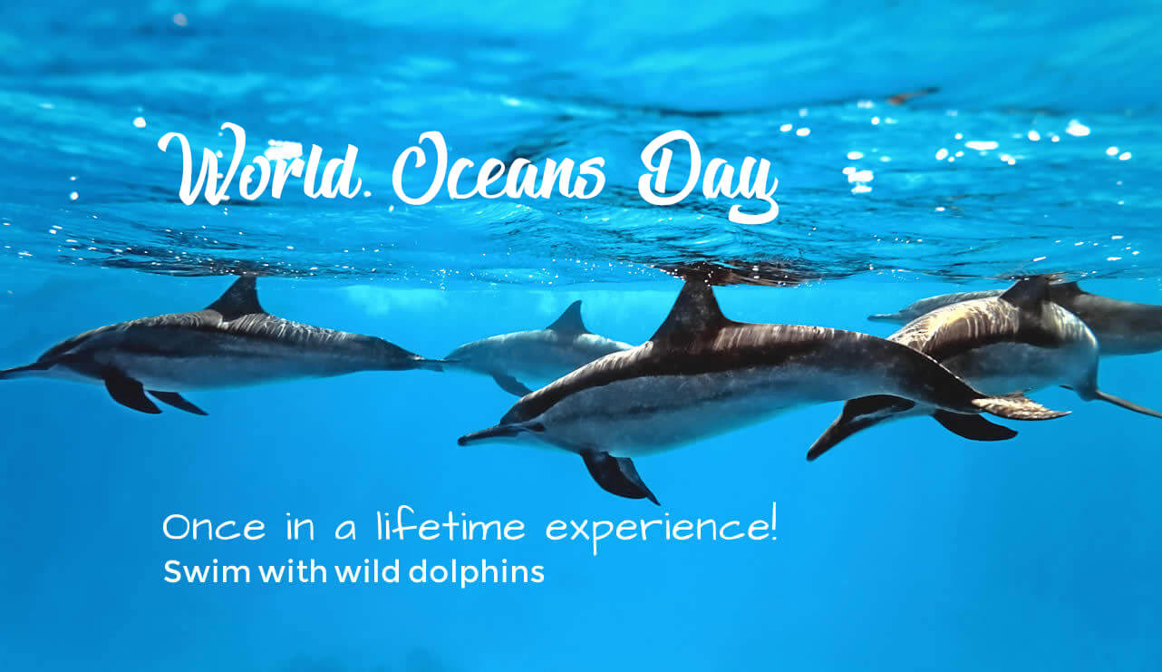 Happy World Oceans Day Save Dolphins Save Ocean