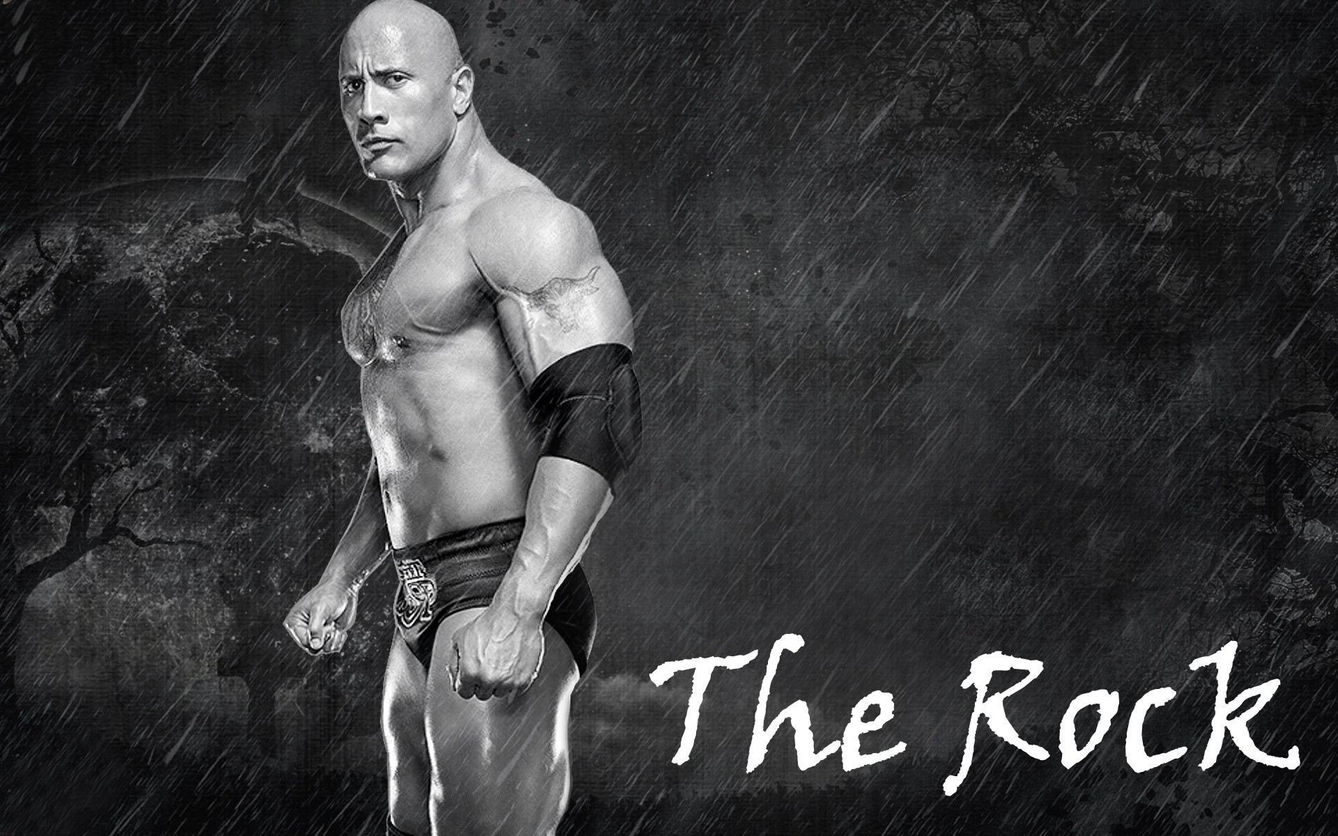 The Rock New Hd Wallpaper